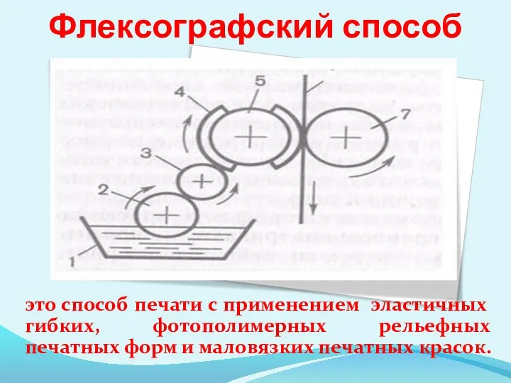 Флексографский способ это способ печати с применением эластичных гибких, фотополимерных