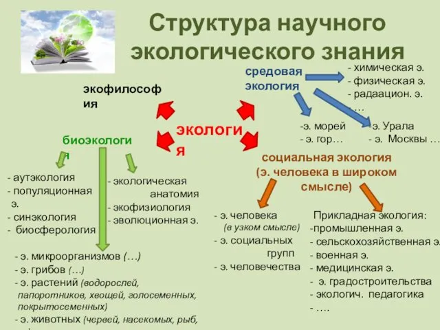 Структура научного экологического знания экология биоэкология аутэкология популяционная э. синэкология