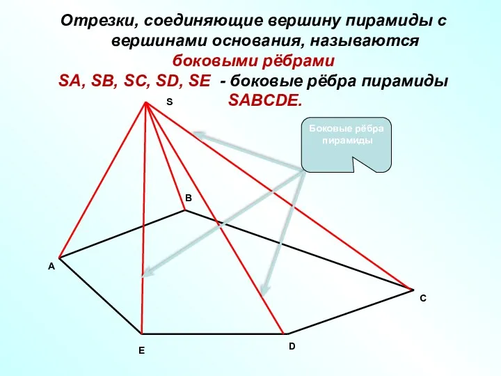 C Отрезки, соединяющие вершину пирамиды с вершинами основания, называются боковыми