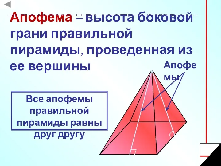 Апофема – высота боковой грани правильной пирамиды, проведенная из ее