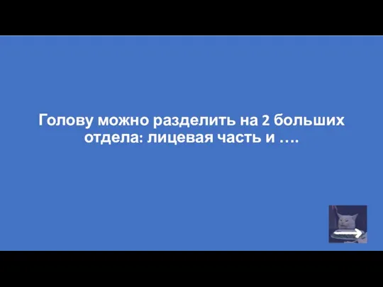 Голову можно разделить на 2 больших отдела: лицевая часть и ….