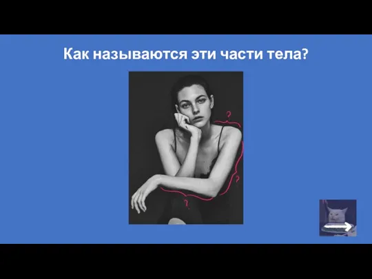 Как называются эти части тела?