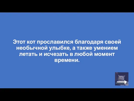 Этот кот прославился благодаря своей необычной улыбке, а также умением