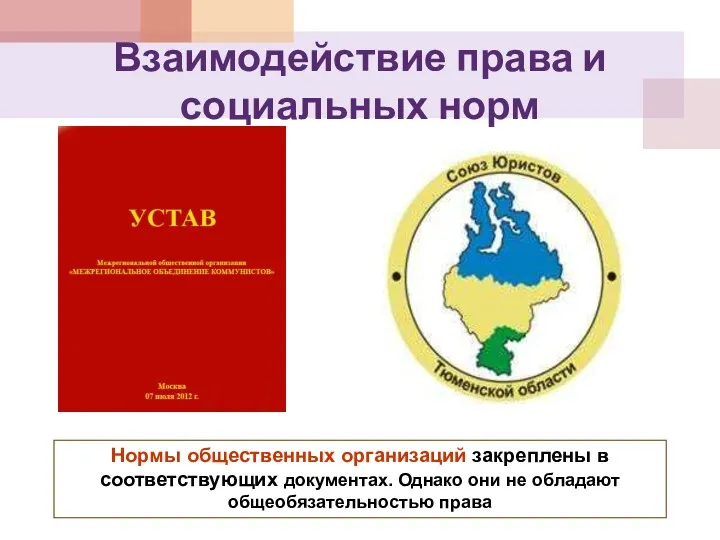 Взаимодействие права и социальных норм Нормы общественных организаций закреплены в