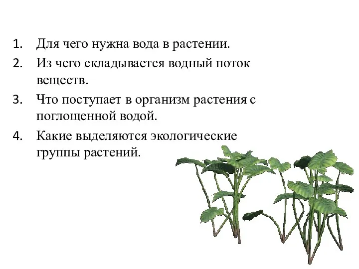 Для чего нужна вода в растении. Из чего складывается водный поток веществ. Что
