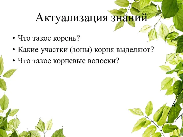 Актуализация знаний Что такое корень? Какие участки (зоны) корня выделяют? Что такое корневые волоски?