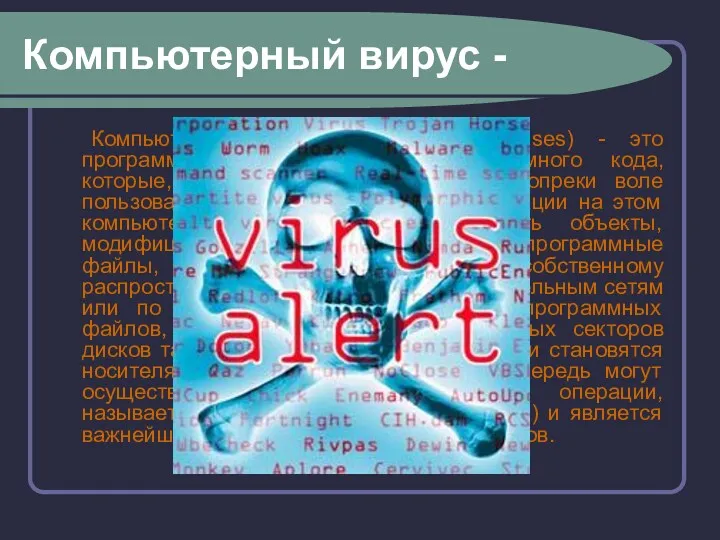 Компьютерный вирус - Компьютерные вирусы (Computer viruses) - это программы