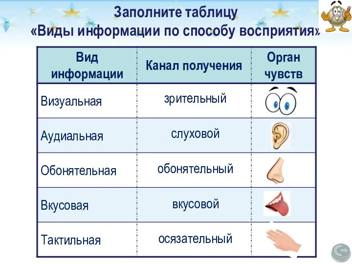 Заполните таблицу «Виды информации по способу восприятия» зрительный слуховой обонятельный вкусовой осязательный