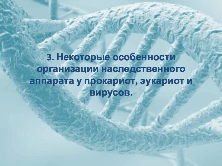 3. Некоторые особенности организации наследственного аппарата у прокариот, эукариот и вирусов.