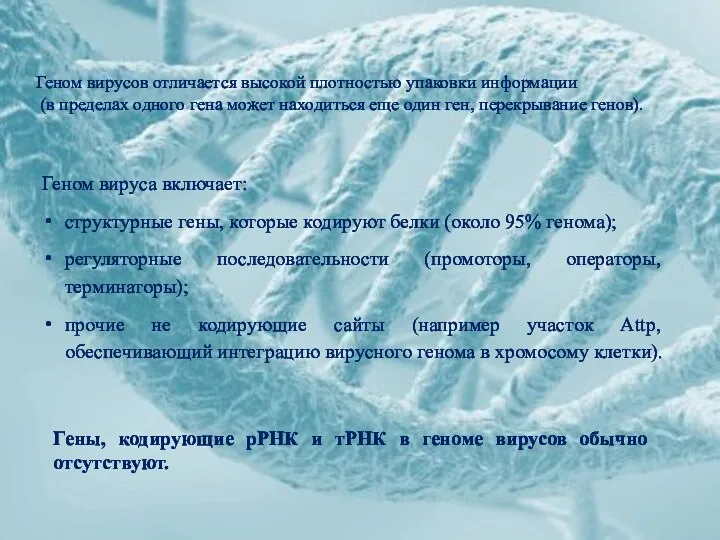 Гены, кодирующие рРНК и тРНК в геноме вирусов обычно отсутствуют. Геном вируса включает: