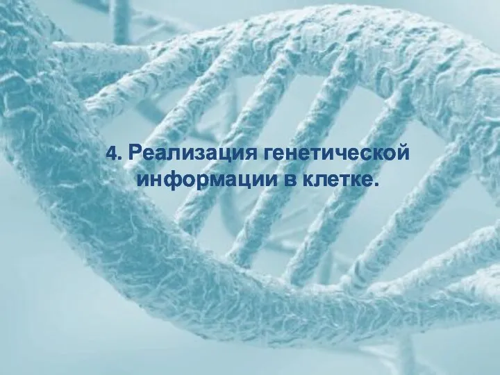 4. Реализация генетической информации в клетке.