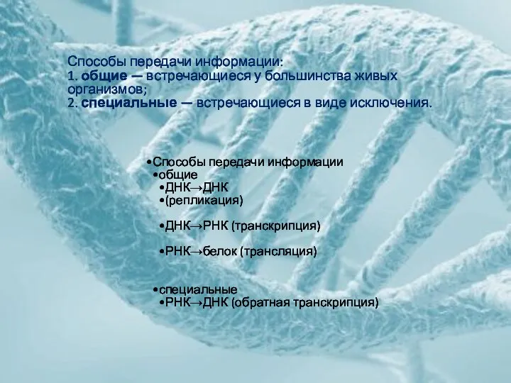 Способы передачи информации общие ДНК→ДНК (репликация) ДНК→РНК (транскрипция) РНК→белок (трансляция) специальные РНК→ДНК (обратная