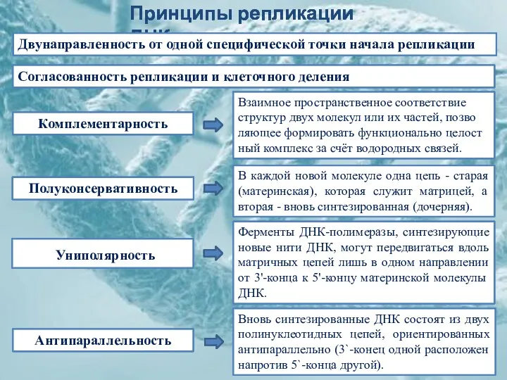 Вза­им­ное про­стран­ст­вен­ное со­от­вет­ст­вие струк­тур двух мо­ле­кул или их час­тей, по­зво­ляю­щее