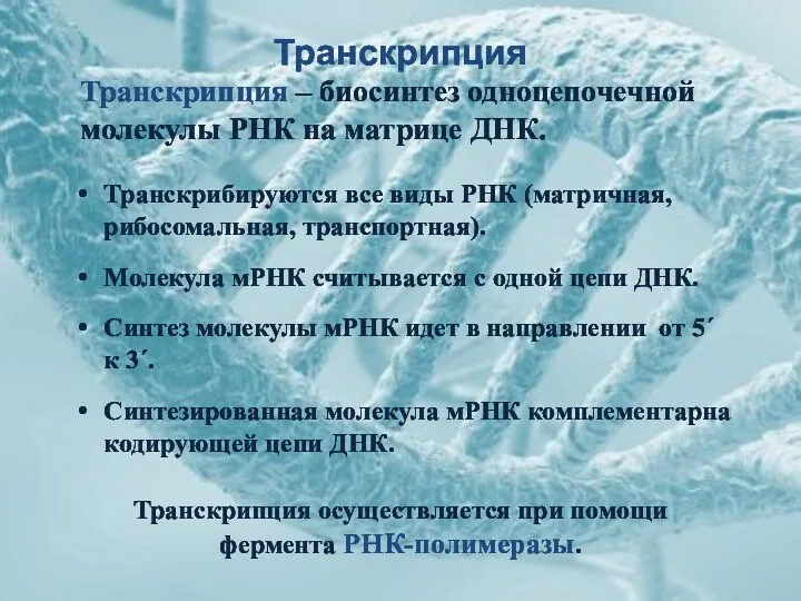 Транскрипция Транскрипция осуществляется при помощи фермента РНК-полимеразы. Транскрипция – биосинтез одноцепочечной молекулы РНК