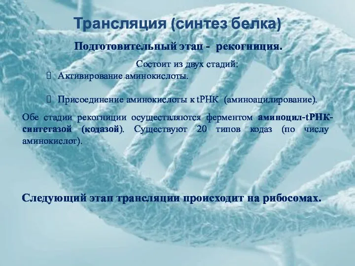 Трансляция (синтез белка) Состоит из двух стадий: Активирование аминокислоты. Присоединение аминокислоты к tРНК