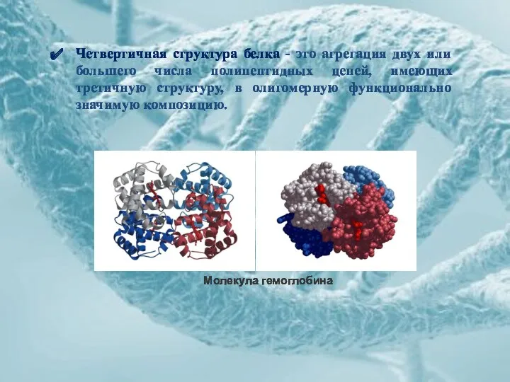 Четвертичная структура белка - это агрегация двух или большего числа полипептидных цепей, имеющих