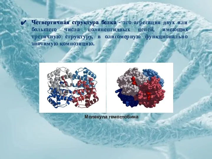 Четвертичная структура белка - это агрегация двух или большего числа