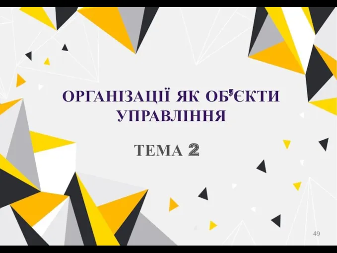 ОРГАНІЗАЦІЇ ЯК ОБ’ЄКТИ УПРАВЛІННЯ ТЕМА 2