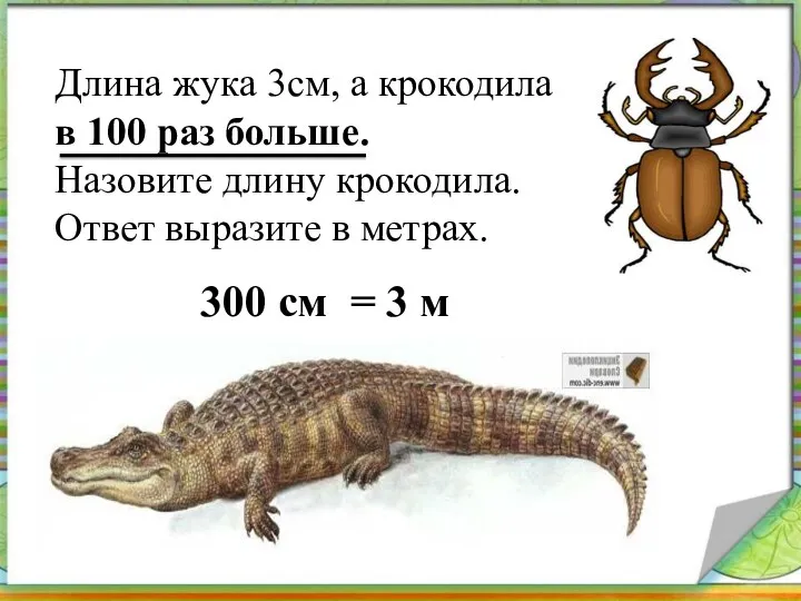 Длина жука 3см, а крокодила в 100 раз больше. Назовите