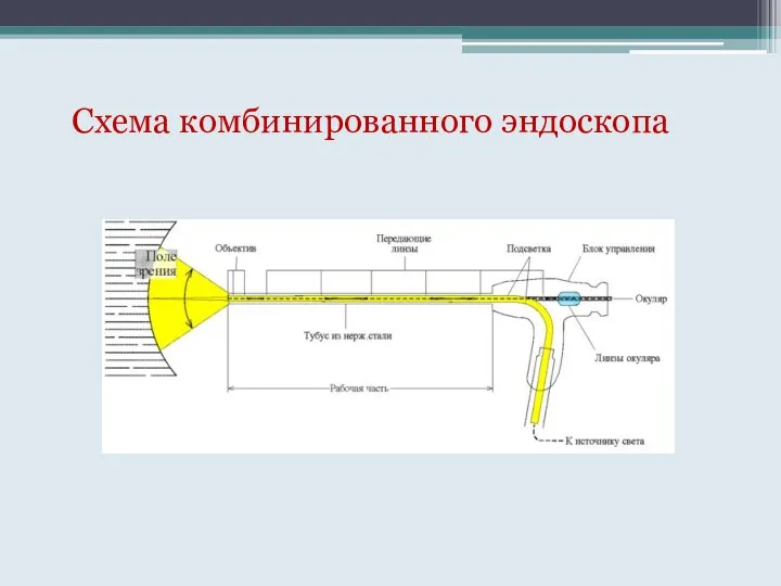 Схема комбинированного эндоскопа