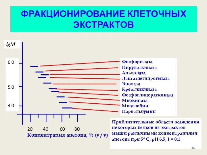 ФРАКЦИОНИРОВАНИЕ КЛЕТОЧНЫХ ЭКСТРАКТОВ 6.0 5.0 4.0 20 40 60 80