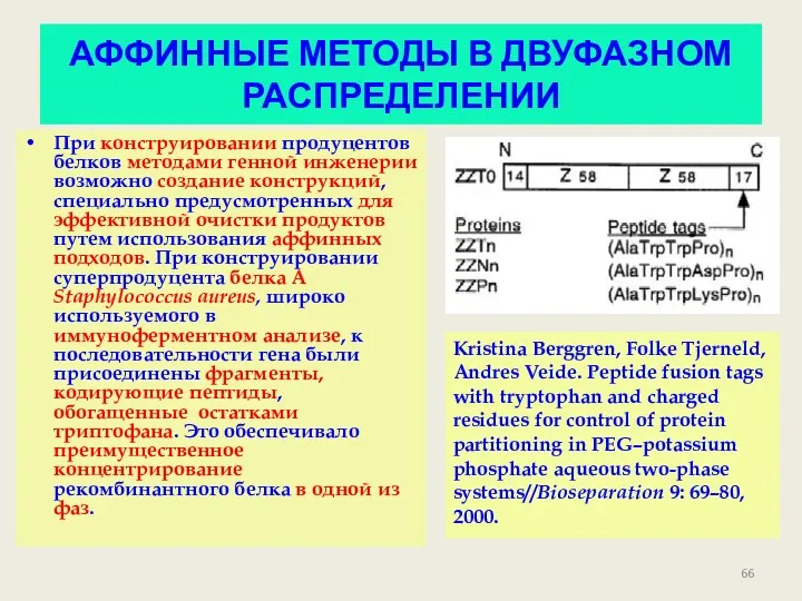 АФФИННЫЕ МЕТОДЫ В ДВУФАЗНОМ РАСПРЕДЕЛЕНИИ При конструировании продуцентов белков методами