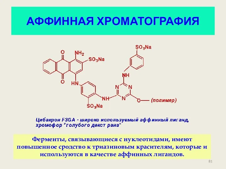 АФФИННАЯ ХРОМАТОГРАФИЯ Ферменты, связывающиеся с нуклеотидами, имеют повышенное сродство к