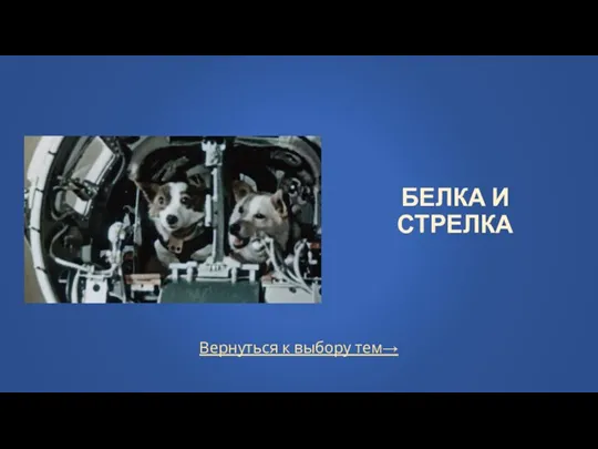 Вернуться к выбору тем→ БЕЛКА И СТРЕЛКА