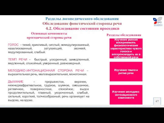 Разделы обследования Разделы логопедического обследования Обследование фонетической стороны речи 4.2.