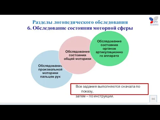 Разделы логопедического обследования 6. Обследование состояния моторной сферы Все задания