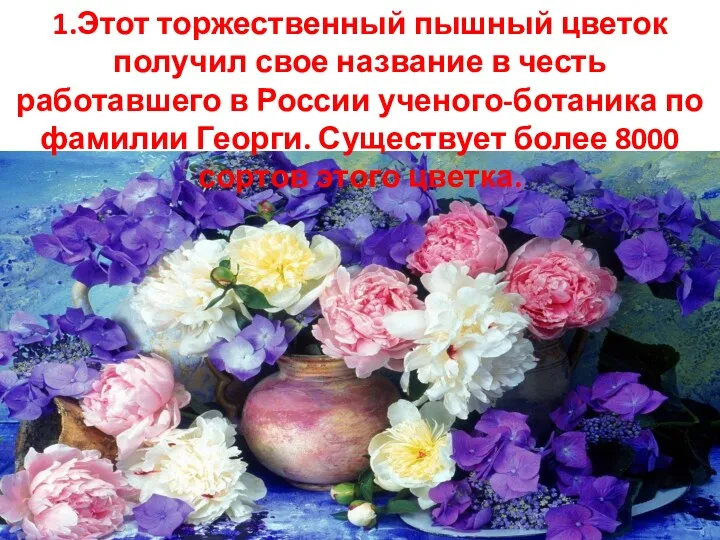 1.Этот торжественный пышный цветок получил свое название в честь работавшего