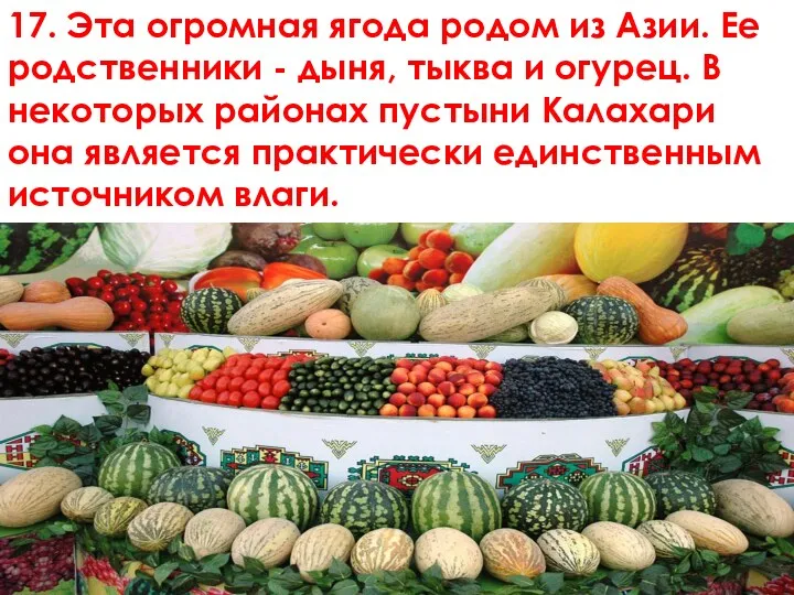 17. Эта огромная ягода родом из Азии. Ее родственники -