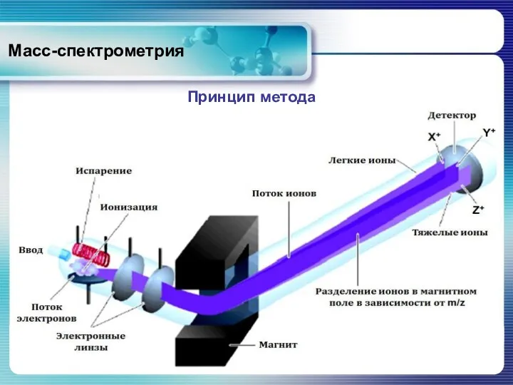 Масс-спектрометрия Пробу вводят в источник ионизации, где молекулы ионизируются. Принцип