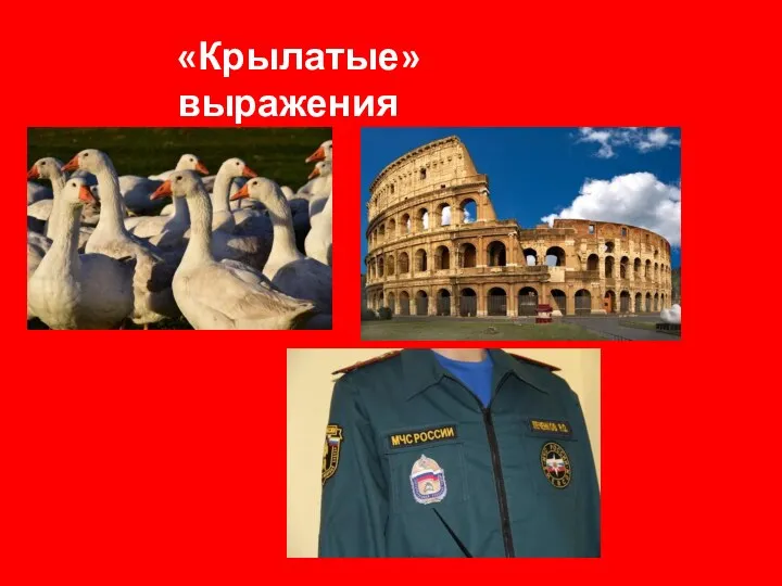 «Крылатые» выражения