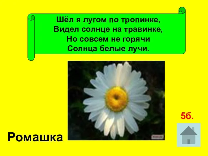 Шёл я лугом по тропинке, Видел солнце на травинке, Но