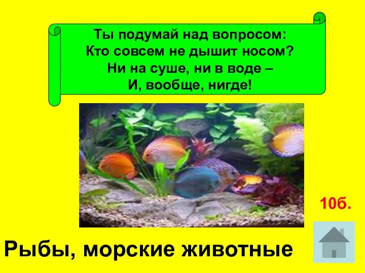 Ты подумай над вопросом: Кто совсем не дышит носом? Ни