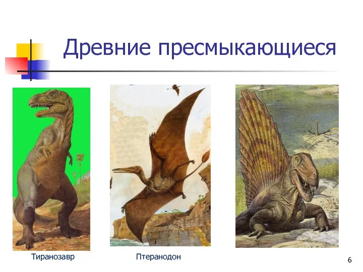 Древние пресмыкающиеся Тиранозавр Птеранодон