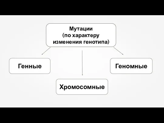 Мутации (по характеру изменения генотипа)