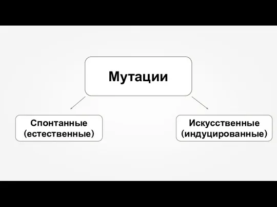 Мутации