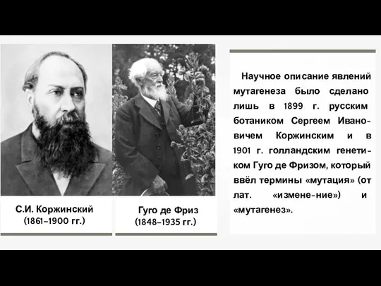 Гуго де Фриз (1848–1935 гг.) Научное описание явлений мутагенеза было