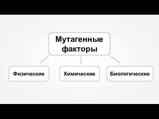 Мутагенные факторы Химические