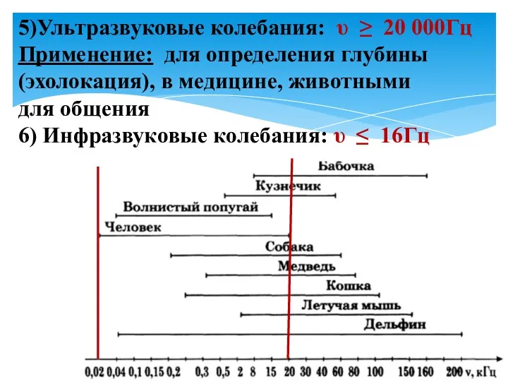 5)Ультразвуковые колебания: υ ≥ 20 000Гц Применение: для определения глубины