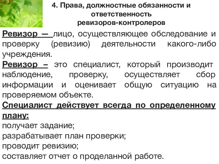 4. Права, должностные обязанности и ответственность ревизоров-контролеров Ревизор — лицо,