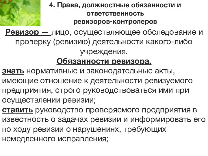 4. Права, должностные обязанности и ответственность ревизоров-контролеров Ревизор — лицо,