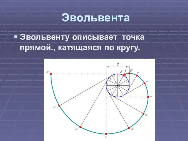 Эвольвента Эвольвенту описывает точка прямой., катящаяся по кругу.