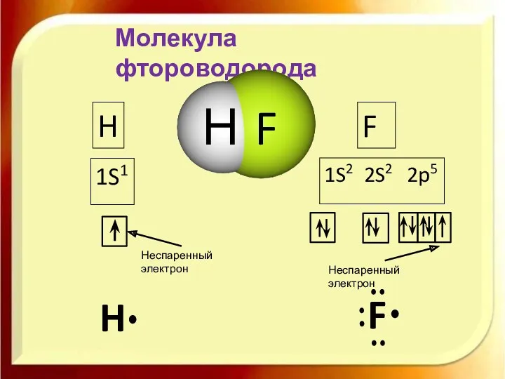 Молекула фтороводорода H 1S1 F 1S2 2S2 2p5 H F Неспаренный электрон Неспаренный электрон Н F