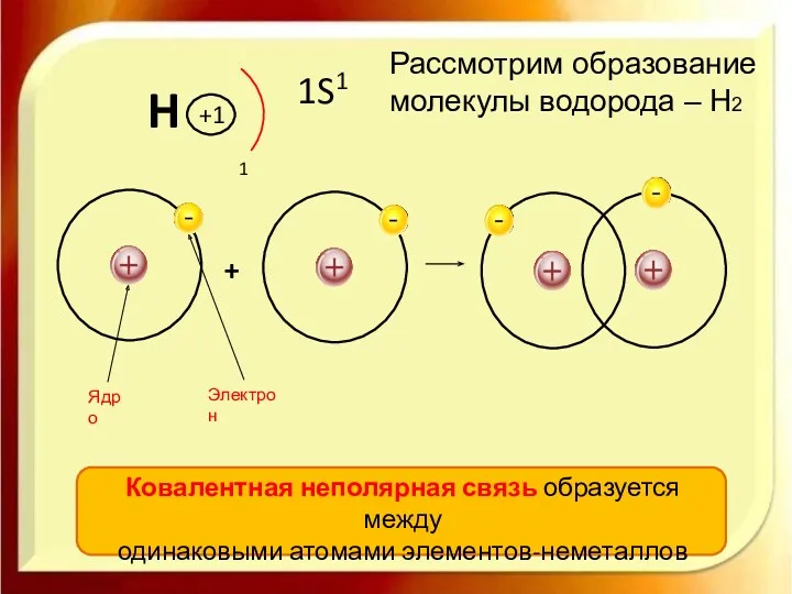 H 1S1 Рассмотрим образование молекулы водорода – Н2 Ковалентная неполярная связь образуется между одинаковыми атомами элементов-неметаллов