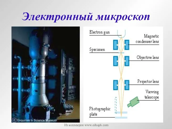 Электронный микроскоп Из коллекции www.eduspb.com