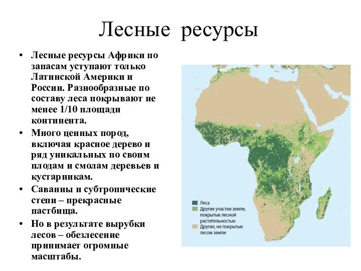 Лесные ресурсы Лесные ресурсы Африки по запасам уступают только Латинской Америки и России.