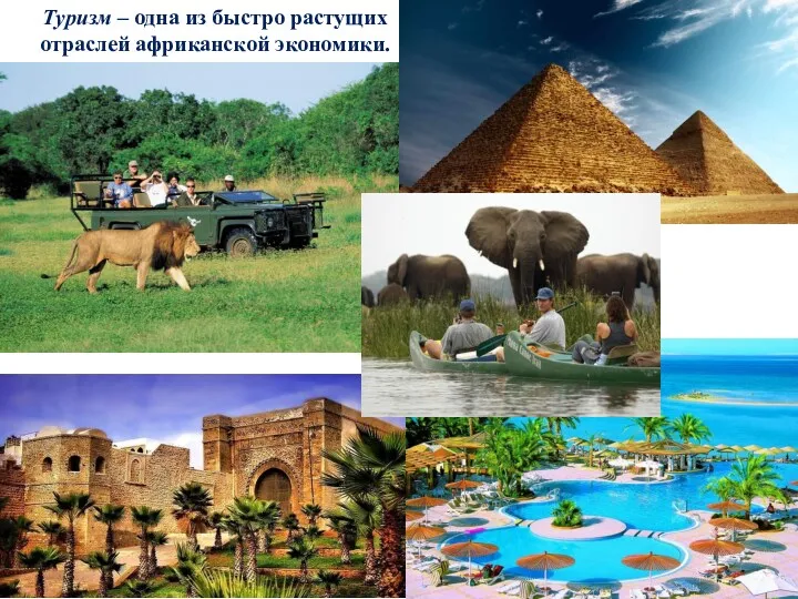 Туризм – одна из быстро растущих отраслей африканской экономики.